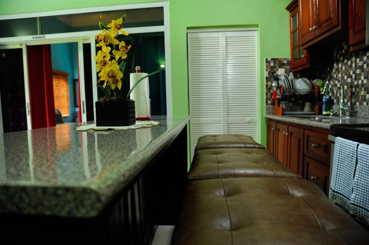 Gk Luxury Apartment Kingston