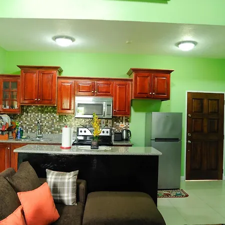 Gk Luxury Apartment Kingston Exterior photo